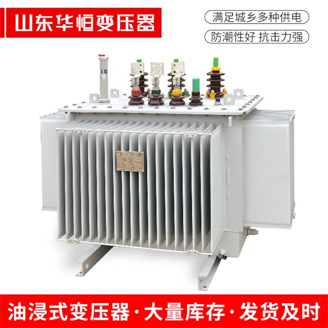 S13-10000/35宁县宁县宁县电力变压器